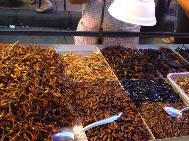 Insectos comestibles , comer bichos Bangkok