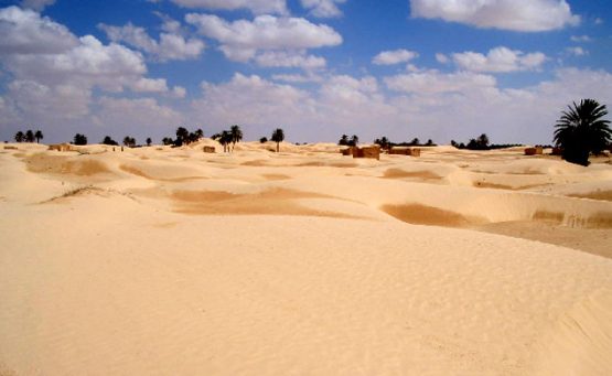 Desierto Del Sahara Archives Volando Voy Viajes 0835