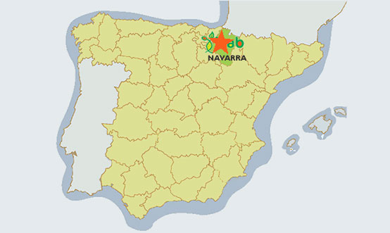 Ubicación Pamplona en España