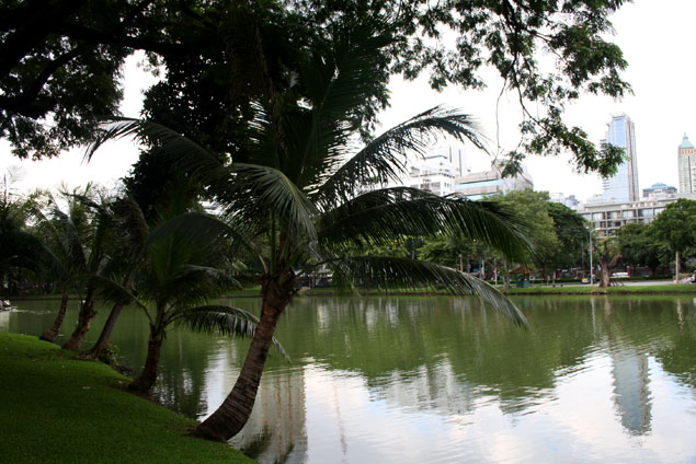 Imagen del lago del parque