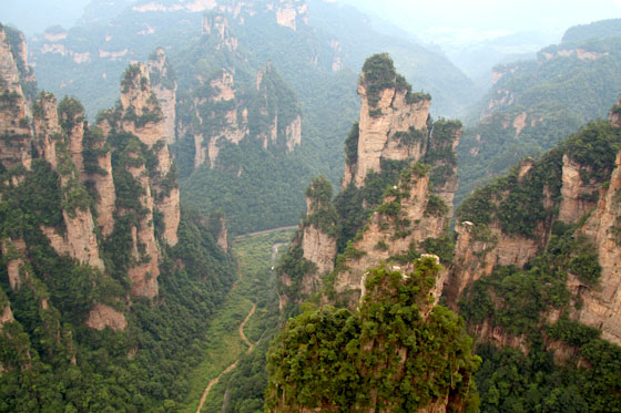 Zhangjiajie national forest