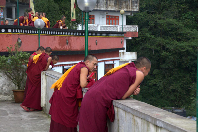 monjes en Druk Thupten Sangag Choling Monastery 