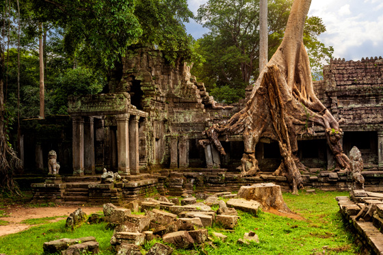 Templo de las raíces (Descubre Camboya)