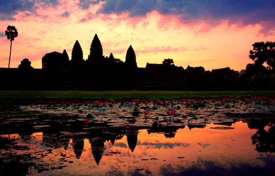 Descubre Camboya con un experto local (Angkor Wat)