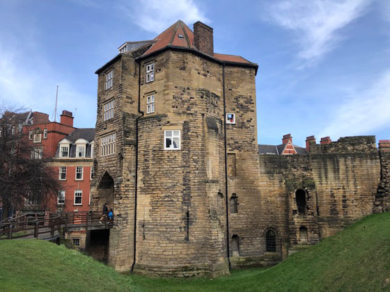 Castillo de Newcastle 