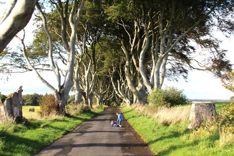 The Dark Hedges .. El bosque de Juego de tronos de Irlanda del Norte